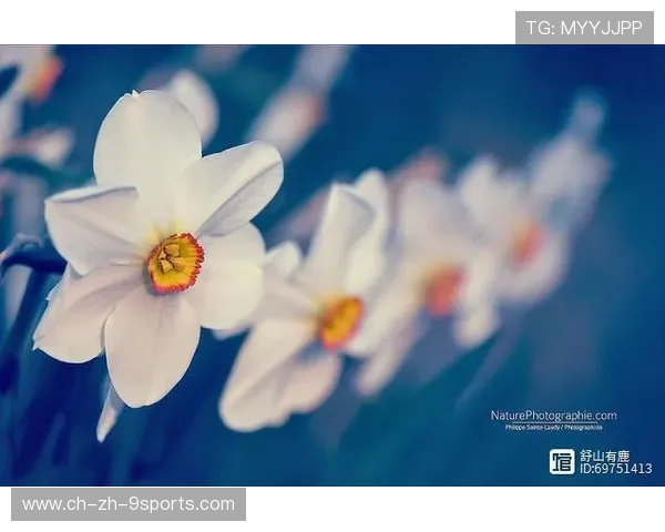 +Î÷¬¢+ÊÎ-¸ÐÈãÁ¦÷ú¼¦¦Ã+¦¦+++=¢½+¬ã¶